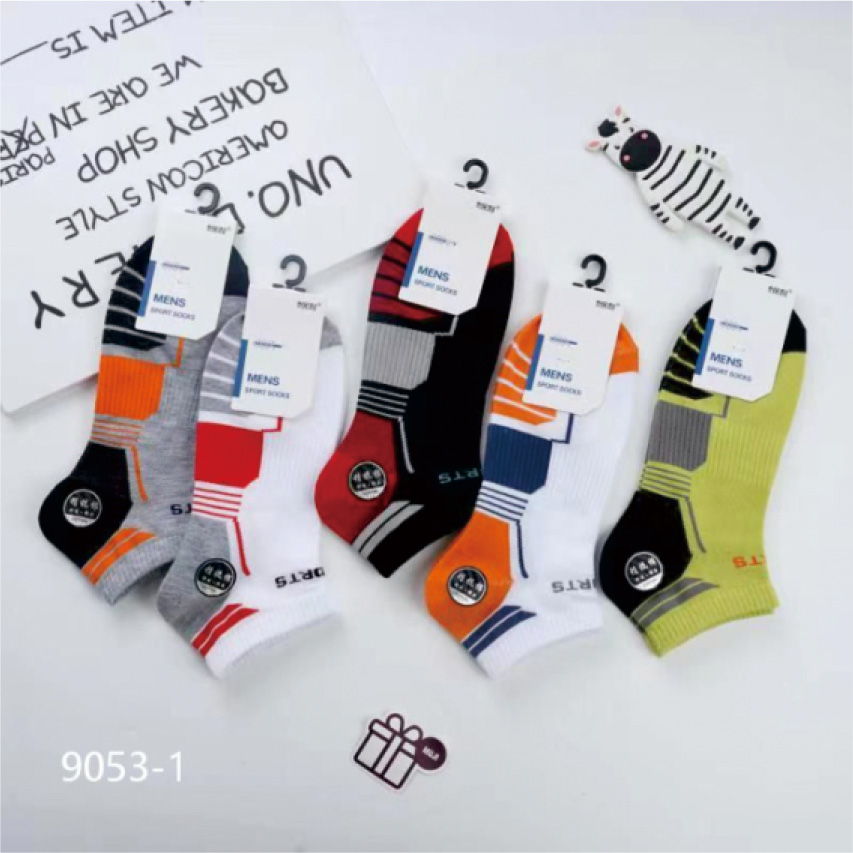 精品时尚袜-Fashion Socks
